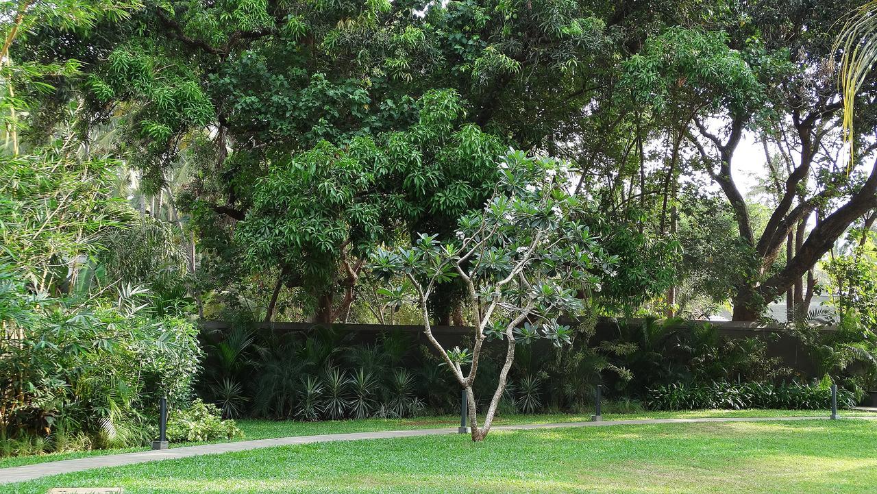 Andores Resort And Spa - Calangute Eksteriør bilde